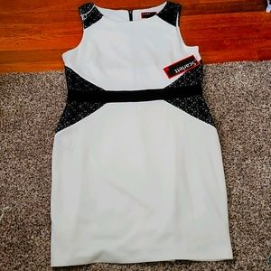 NWT Scarlett brand ivory dress